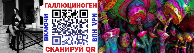 закладки  Среднеколымск  Псилоцибиновые грибы Psilocybe 