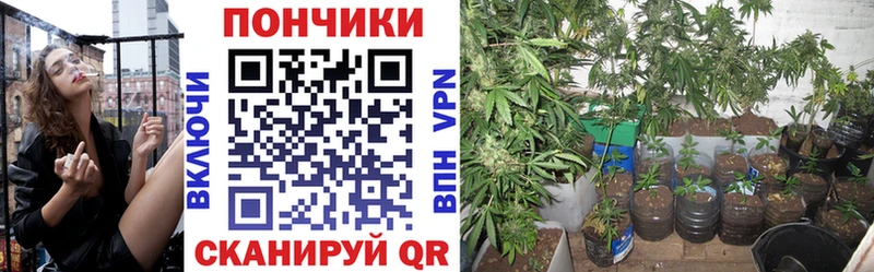 Канабис Ganja купить цена Среднеколымск